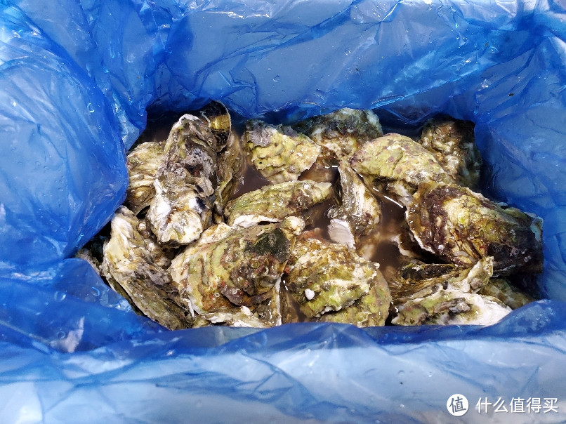 14块8一箱的生蚝好吃吗？大润发新鲜生蚝开箱烤制全过程