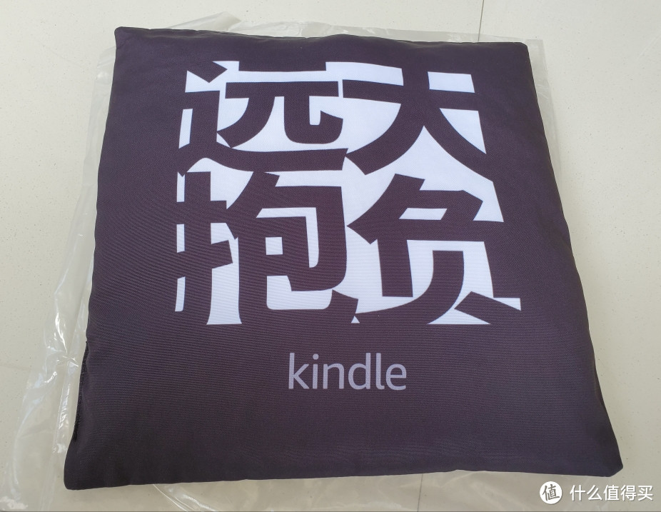 京东六块钱买的 kindle 定制抱枕 读书的人有梦可做 开箱