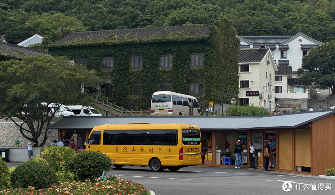 游记 | 庚子年普陀山“海天佛国”行随笔