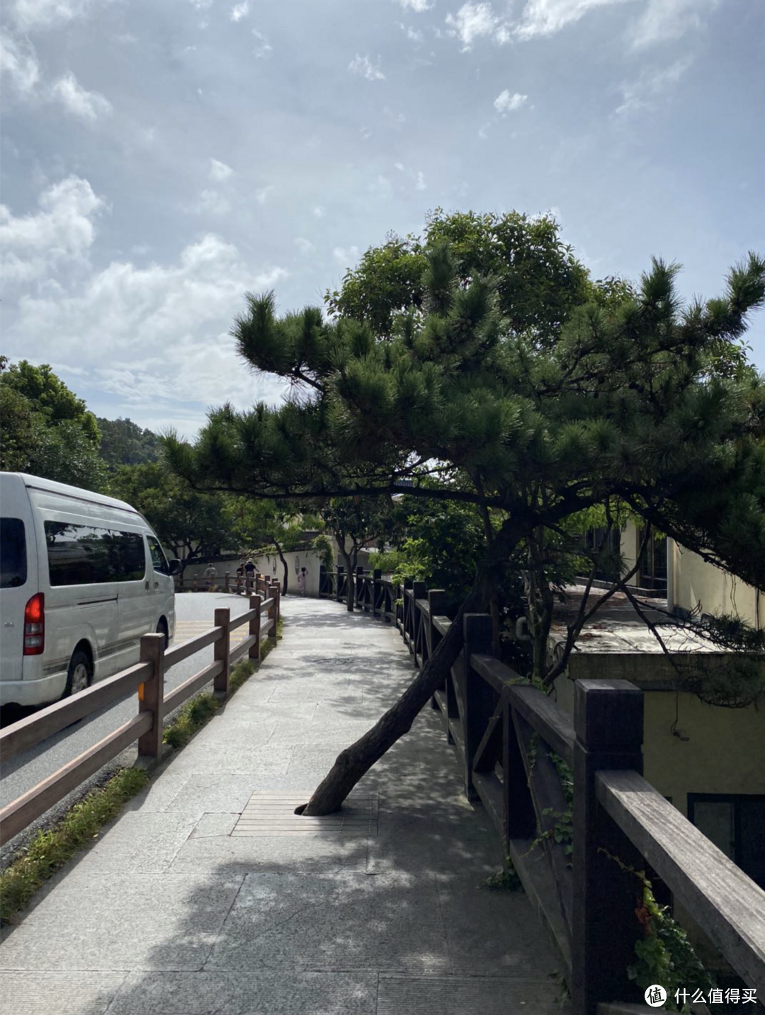 看看这张图，这绝对是人与自然的和谐共赢典范，给普陀山管委会点赞！