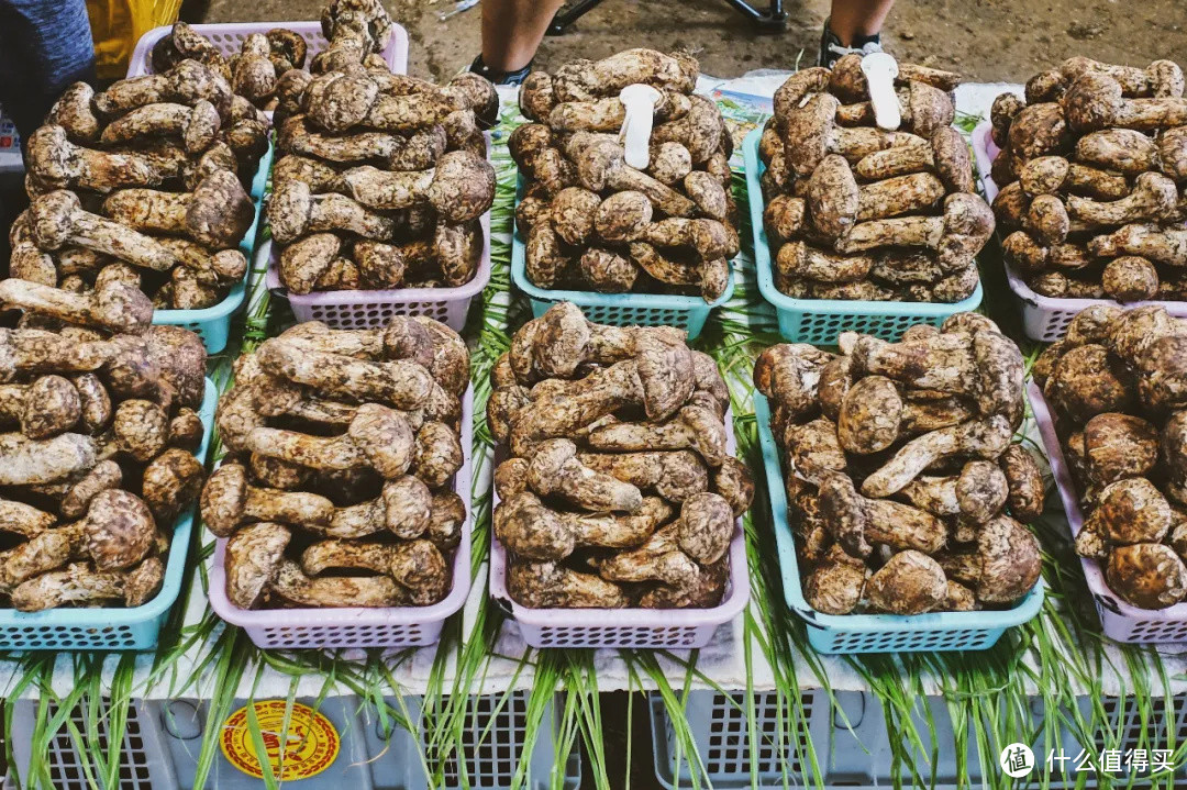 每年这个时候，身在外地的云南人比过年还想回家