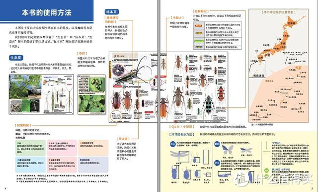 5000字长文走心分享，近期新出的适合3-12岁孩子优秀童书