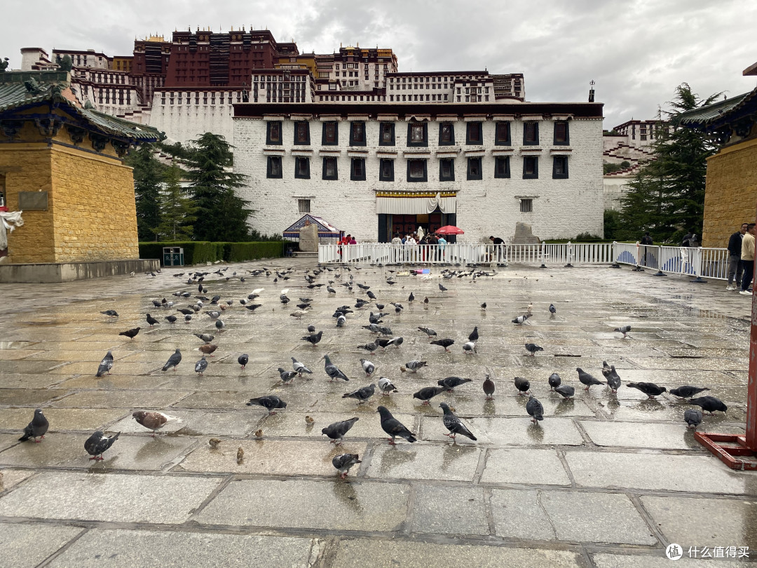 东航随心飞，上海-拉萨 24小时