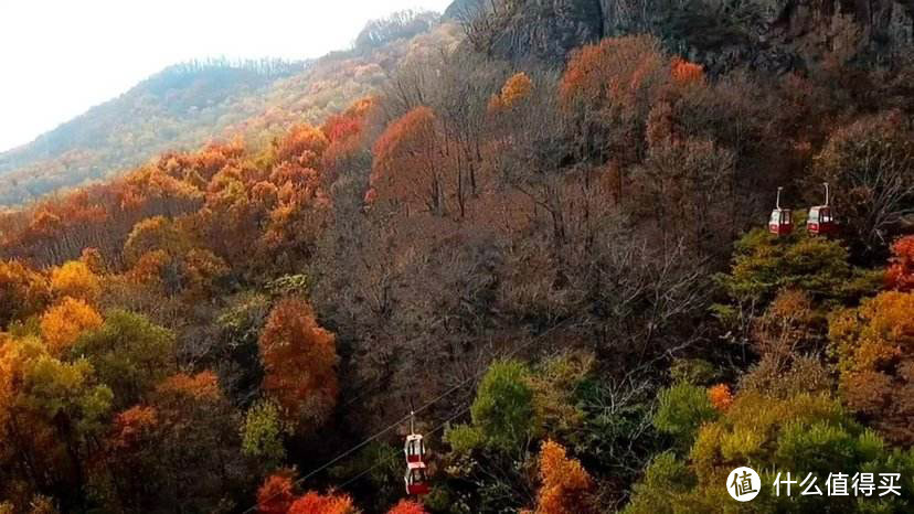 拉法山国家森林公园