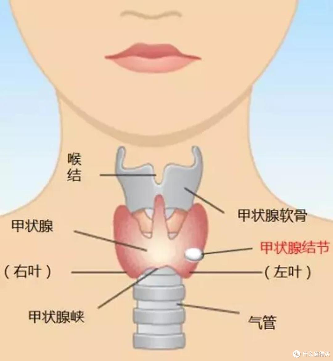 身体健康有异常怎么买保险？常见病投保指南