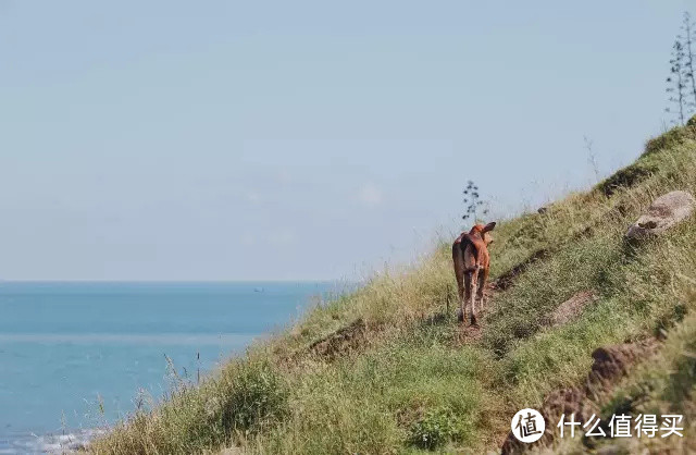 跟着《以家人之名》打卡厦门,不去鼓浪屿还有那么多好吃好逛的