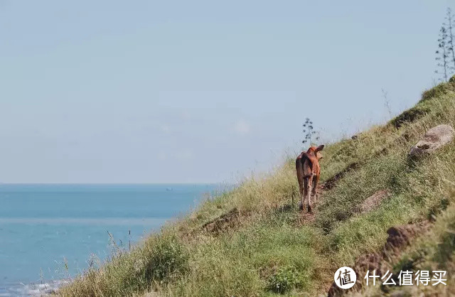 跟着《以家人之名》打卡厦门，不去鼓浪屿还有那么多好吃好逛的