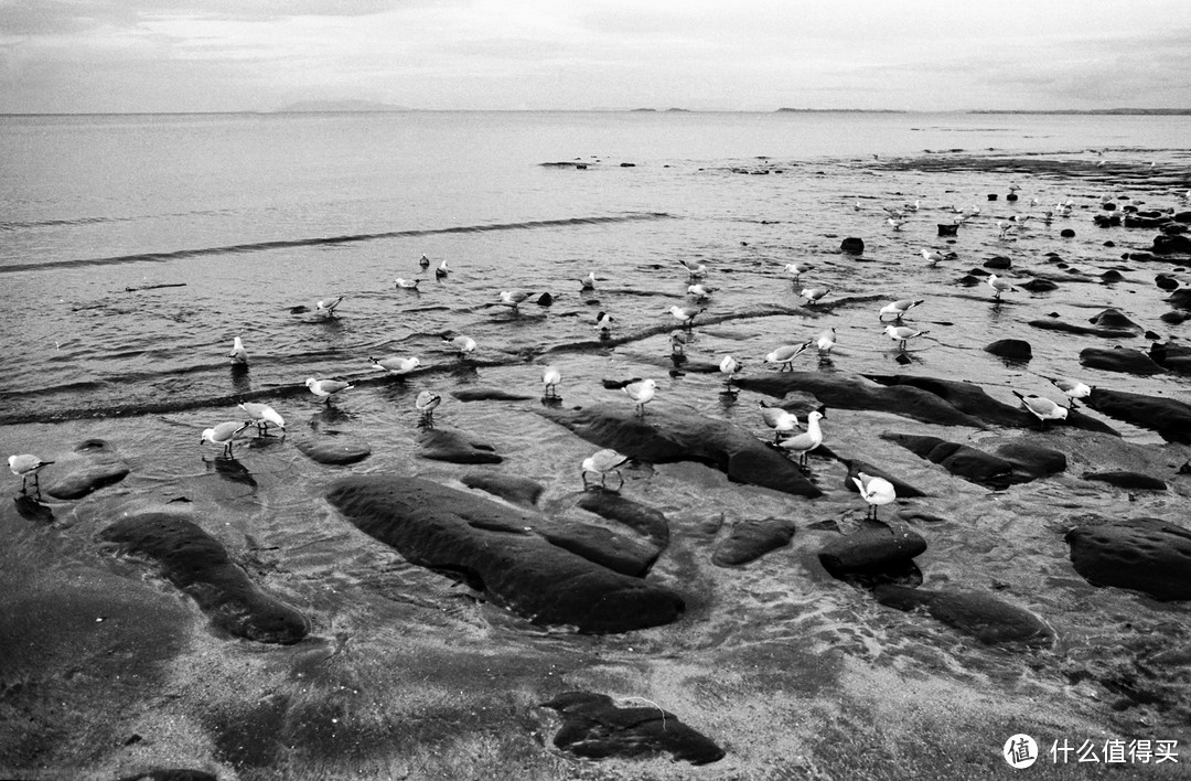 瑞光印象（2）：Olympus OM 28mm F2.8