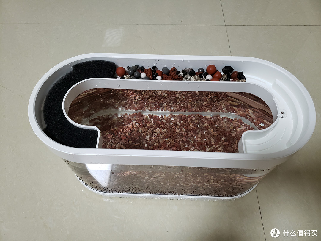 鱼缸中的原装机,画法几何c系智能鱼缸初体验