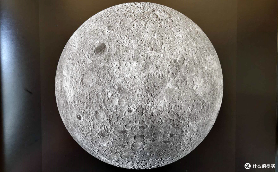 跟着大妈买童书重磅自然图书推荐孩子绝对喜欢堪比看纪录片下