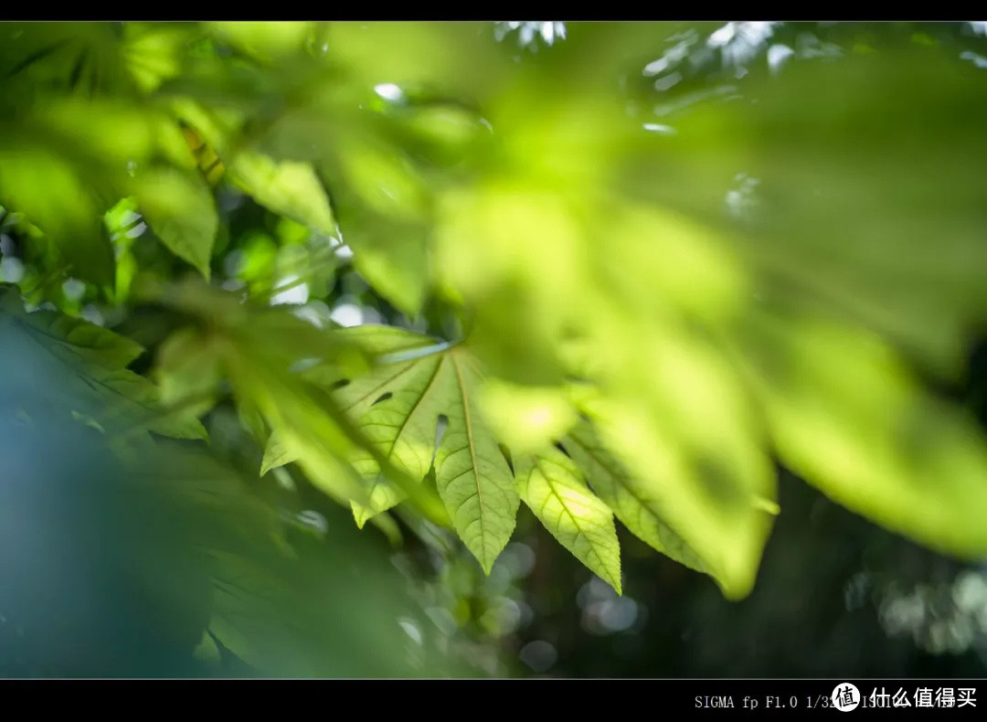 铭匠50mm F0.95镜头测评 徕卡口夜神登场!