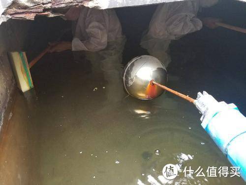 (网图侵删)