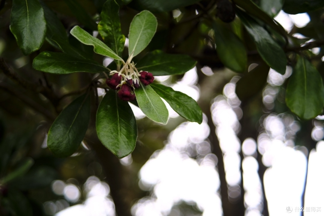 F3.5