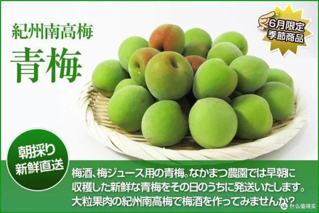 夏天想喝青梅酒，先看这篇再下手