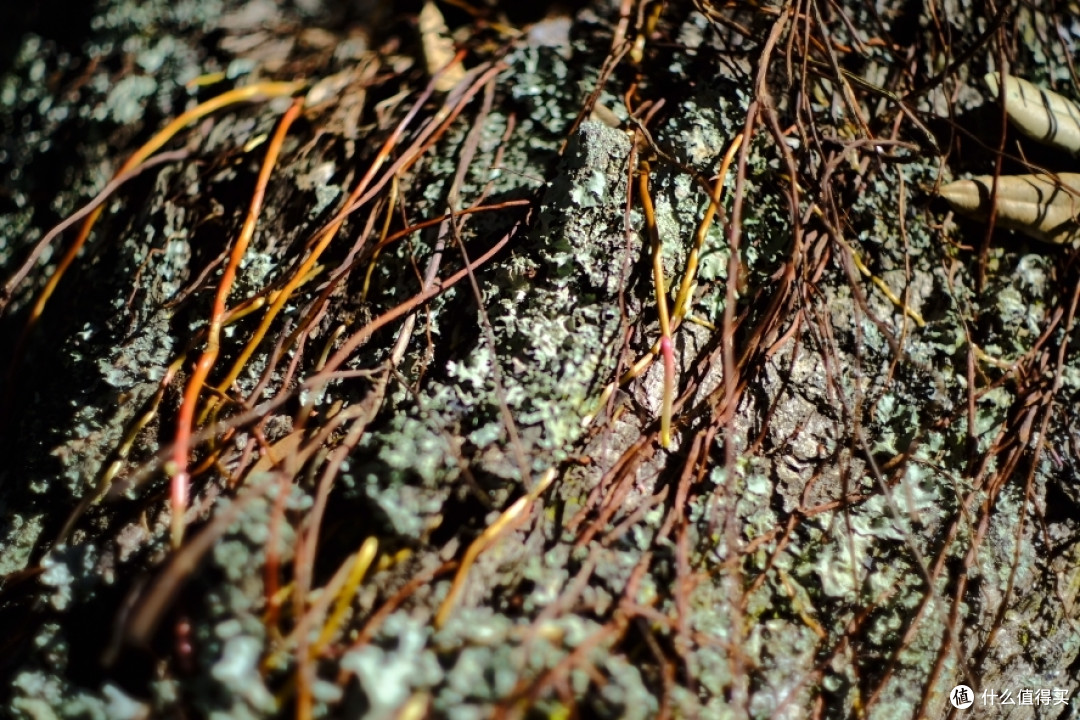 F1.4