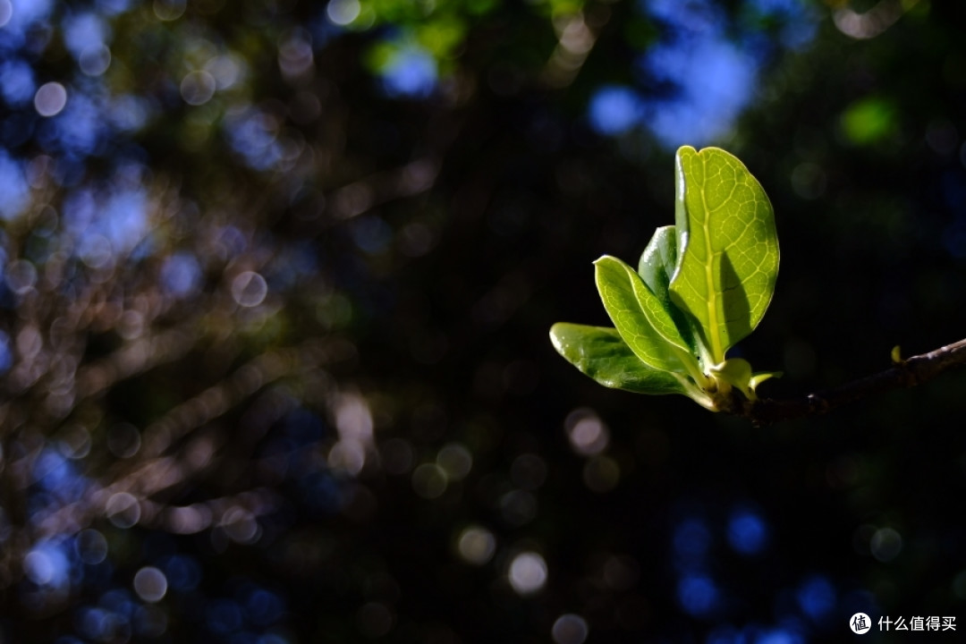F3.5