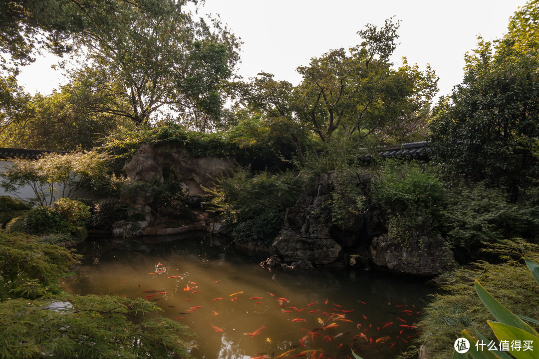周末出游之 杭州西湖净慈寺-雷峰塔-双投桥