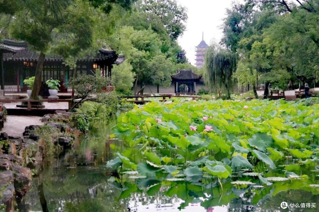 “上有天堂,下有苏杭”,苏州有哪些值得一转的地方?