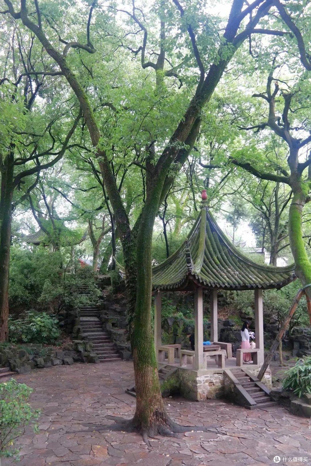 “上有天堂,下有苏杭”,苏州有哪些值得一转的地方?