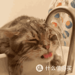 【深度评测】三款网红便携烧水壶横评—洁癖出差党的福利