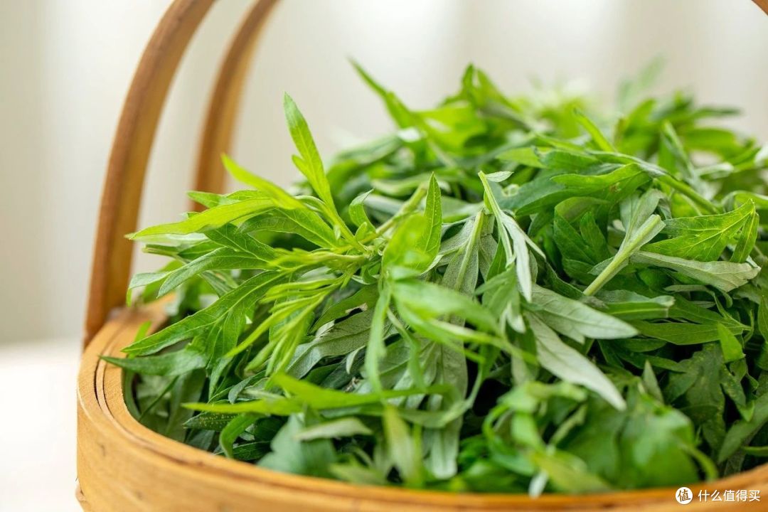 新鲜艾草