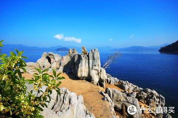 千岛湖两日游保姆级攻略（适合单人、情侣、亲子的不同主题方案）