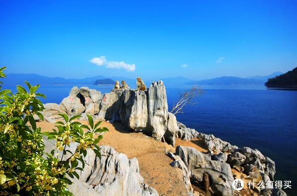 千岛湖两日游保姆级攻略（适合单人、情侣、亲子的不同主题方案）