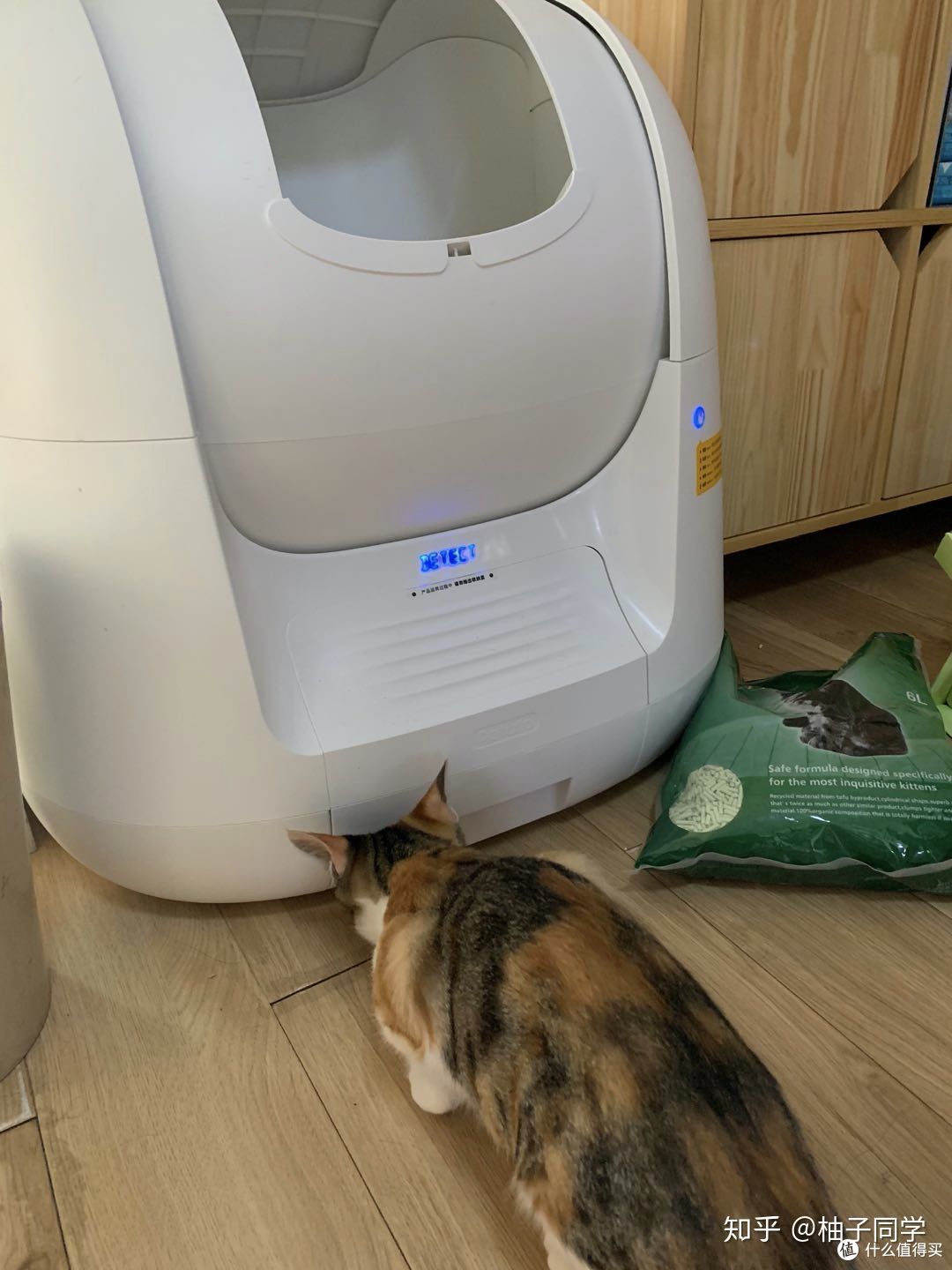 泡芙猫砂盆有多香?终于不用在夜深人静的时候,闻着猫屎的味道入眠了