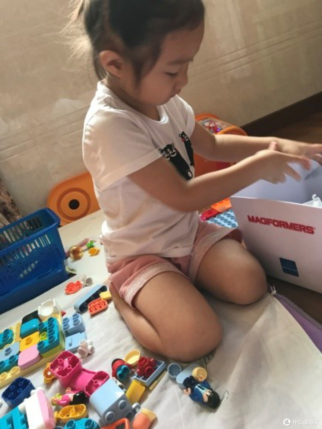 小核桃正在收拾自己的积木