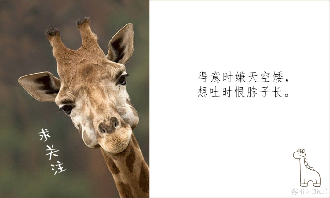 手机如何拍好树上的花?