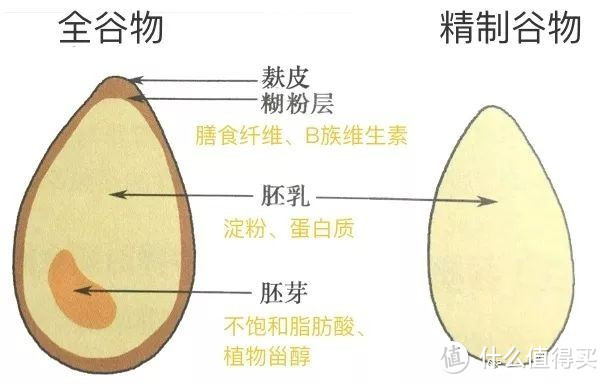 「新手入门必看」从小白到老司机，这些健身知识教你入门