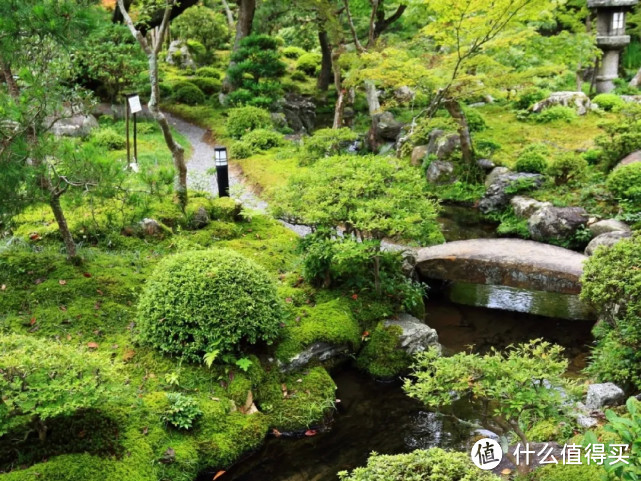 4点打造网红日式庭院，5㎡小院也能做