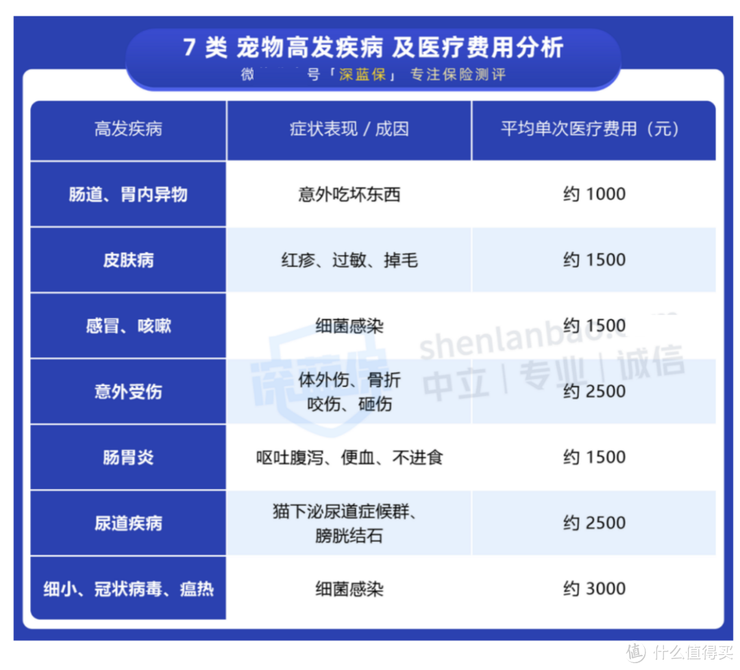 你愿意为你家宠物花多少钱治病？铲屎官必收藏省钱攻略，宠物医疗险、责任险专项测评！