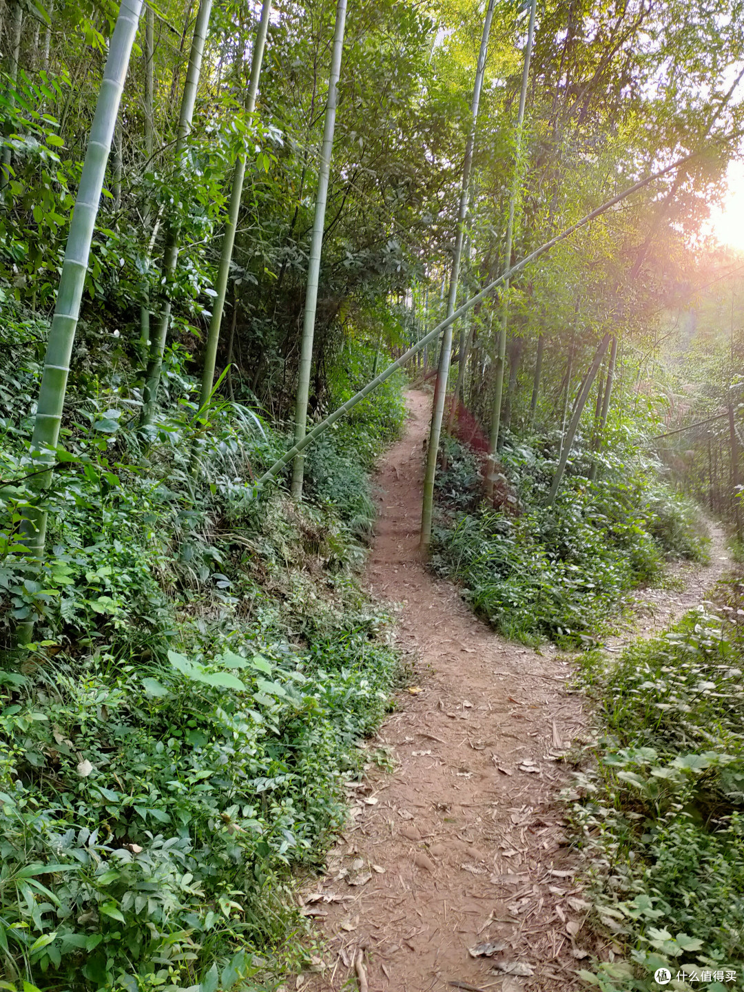 郴州小东江,高椅岭,板梁古村以及衡阳石鼓书院游记(下)