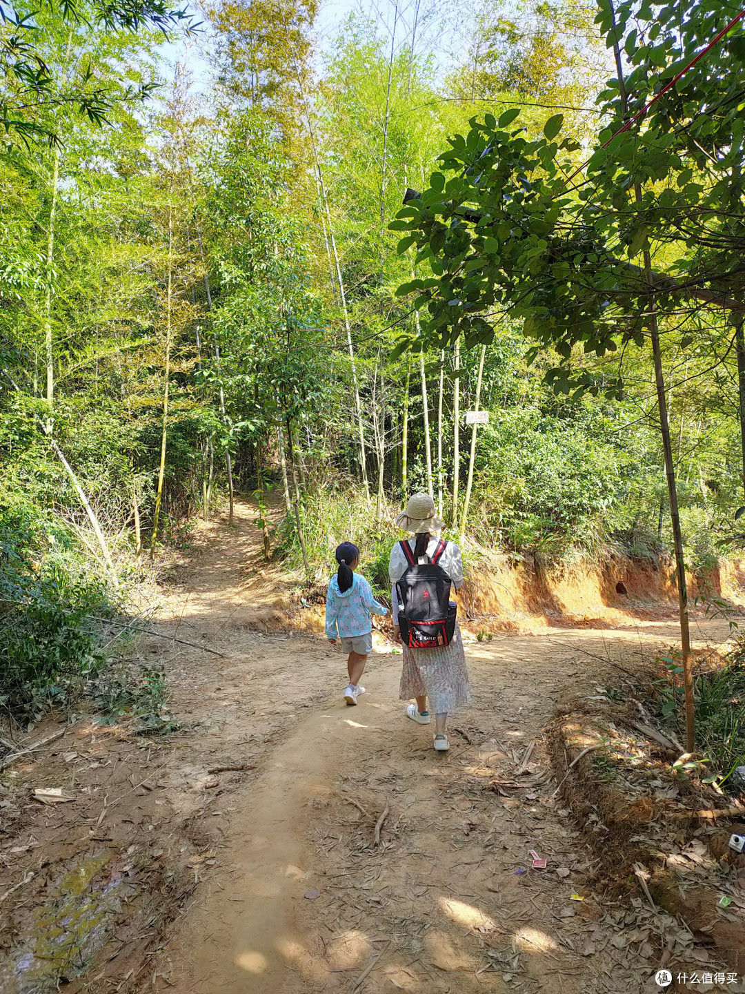 郴州小东江,高椅岭,板梁古村以及衡阳石鼓书院游记(下)