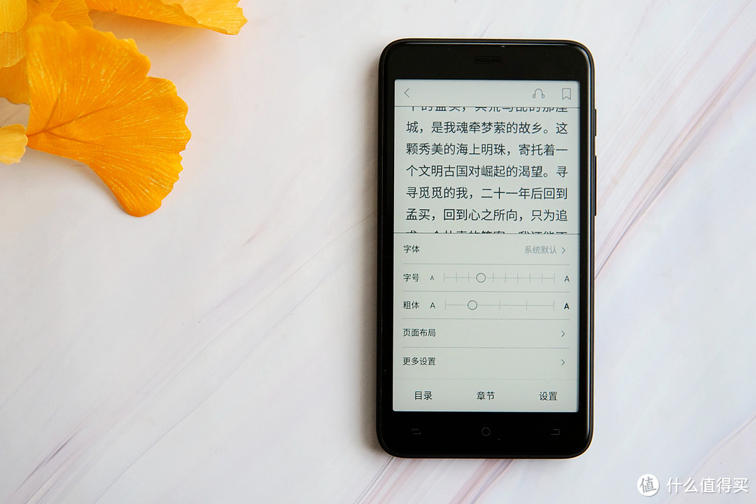 又上车了!口袋阅2标准款 0元打卡 详细测评走起~