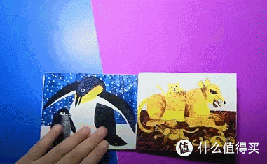 绘本Does a kangaroo have a mother,too
