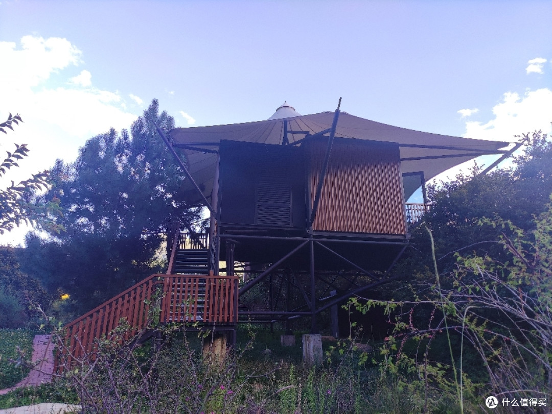 西藏之旅:林芝旅行住哪里,这个地方一定不会让你失望