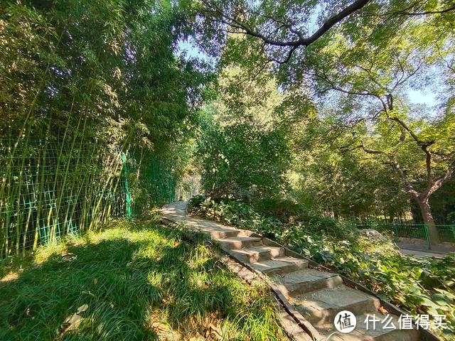 不仅是旅游照,手机摄影极限挑战单反相机