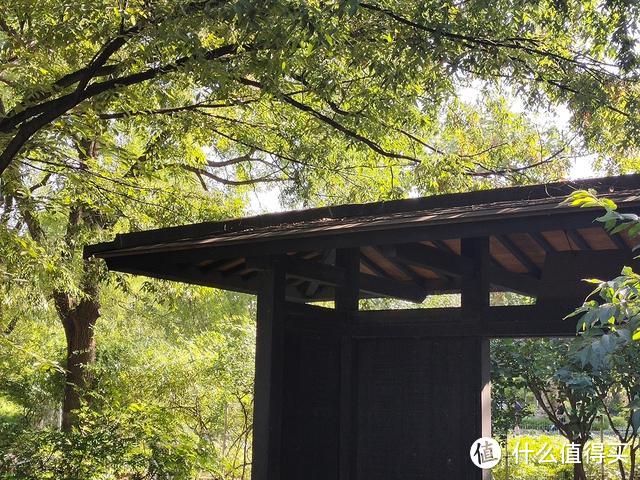 不仅是旅游照,手机摄影极限挑战单反相机