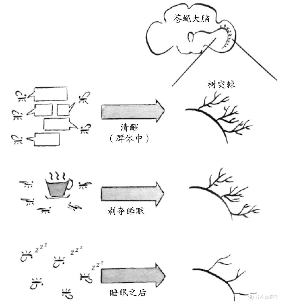 跑步学生党的睡眠问题和改良方法