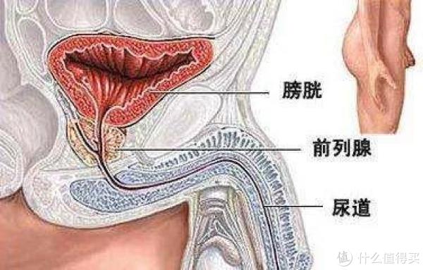 图来源于谷歌