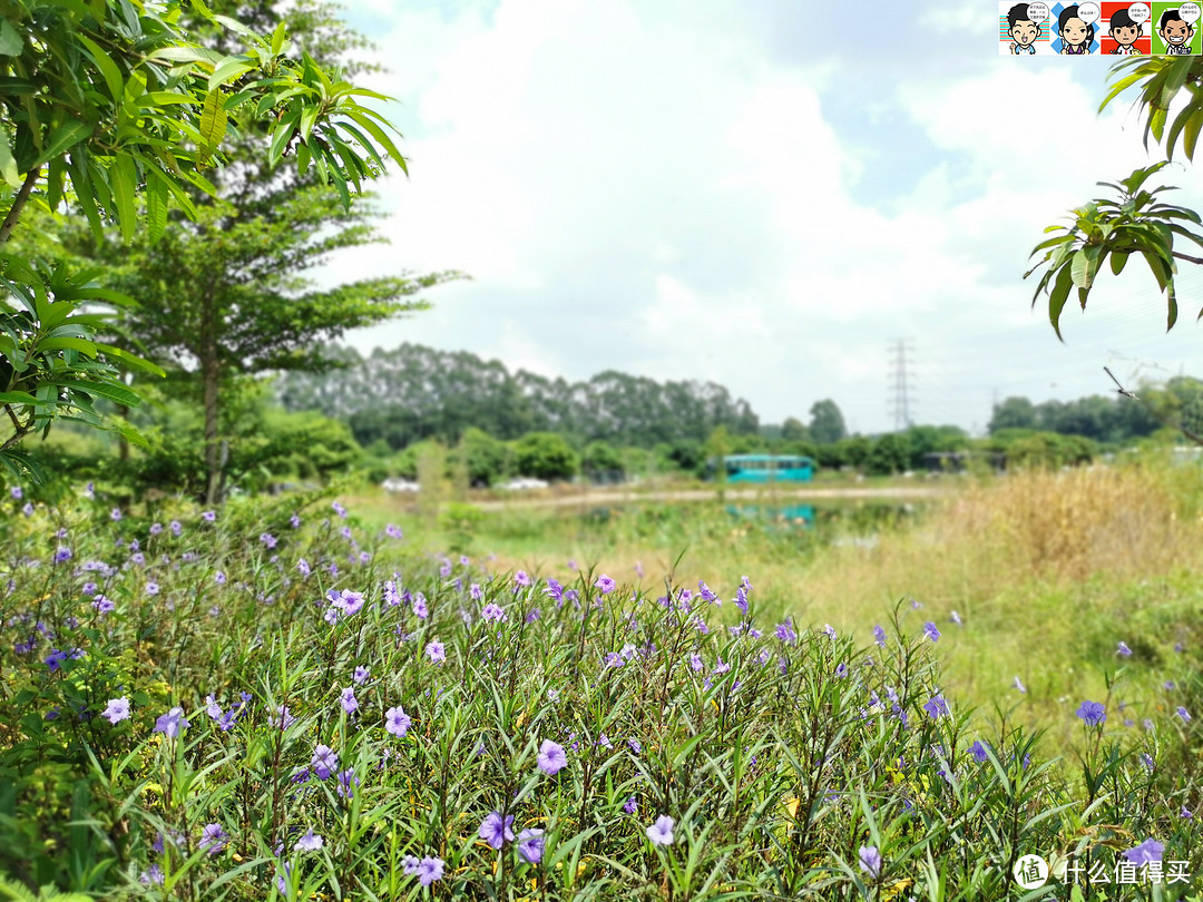 本来想去水上场地踩踩点，太阳实在火辣，赶紧掉头。