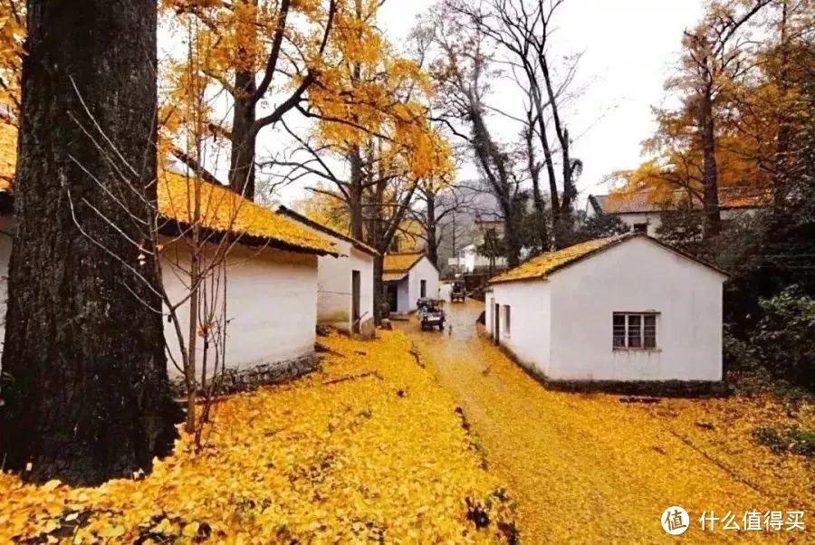 被低估的江南宝藏，旅游价值洼地 | 湖州旅游攻略（全面推荐景点、线路、小吃）