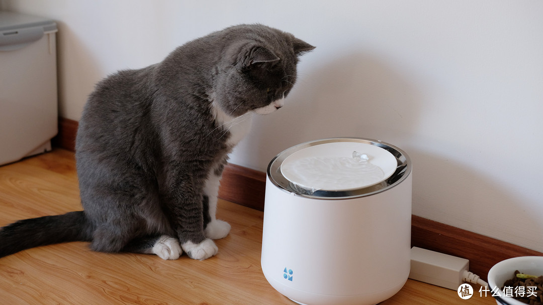 天猫嗷喵喵智能宠物恒温饮水机、吹风梳开箱