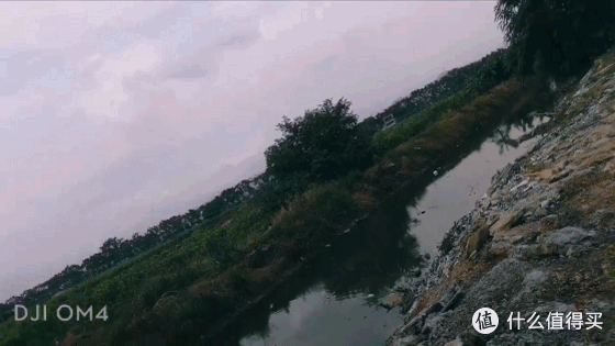 磁吸设计+动态变焦，大疆OM4玩出新高度