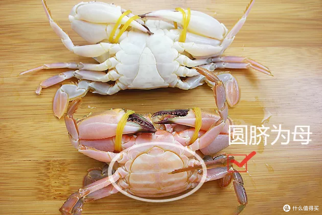 微风习习,金秋时节,当吃大闸蟹
