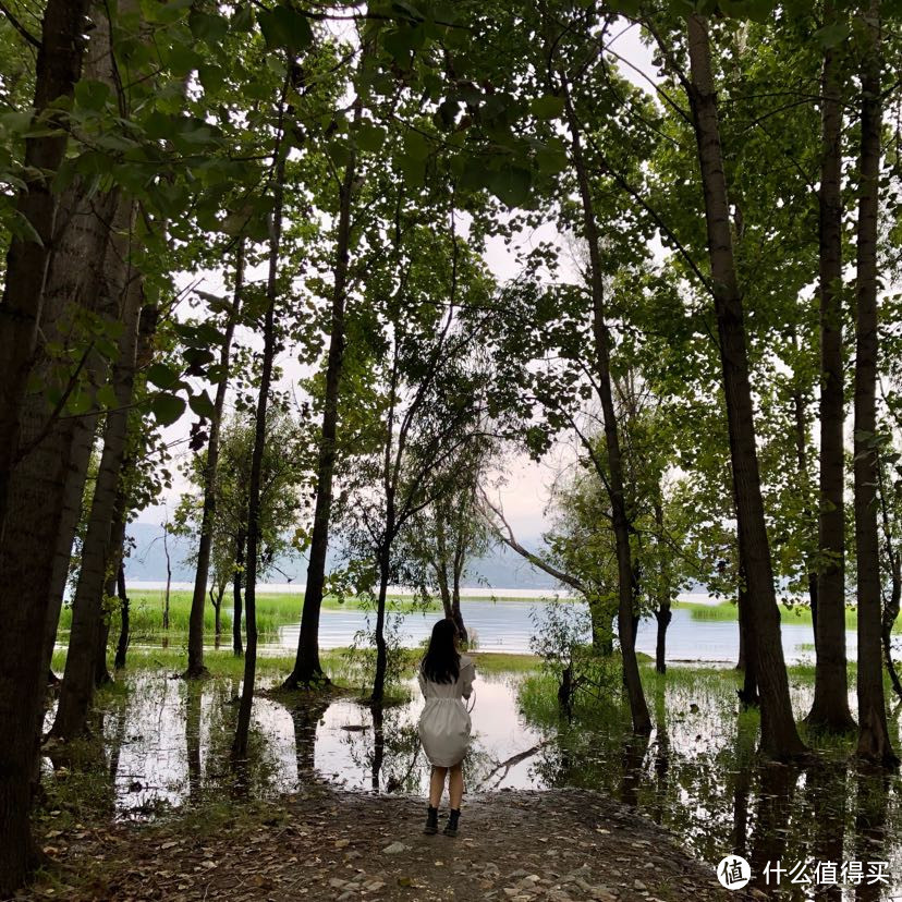 夏天的最后一趟旅行-大理丽江游