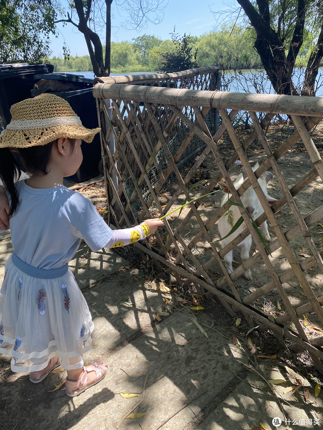 一湖风情，一州古韵丨宁波→湖州，三天两晚不完全记录