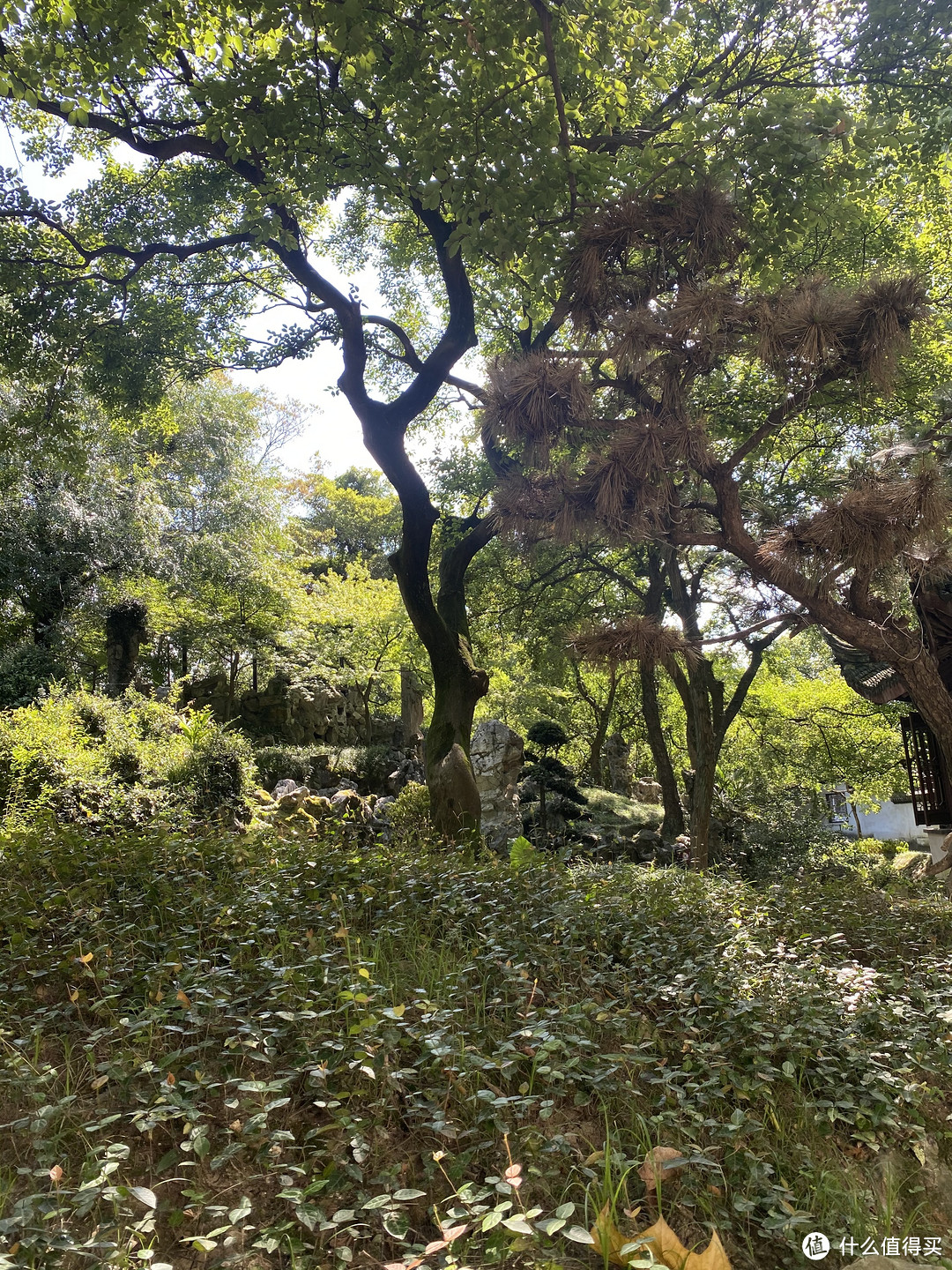 一湖风情，一州古韵丨宁波→湖州，三天两晚不完全记录